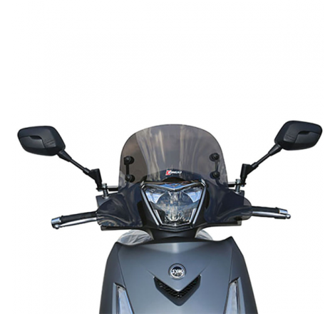 Cupolino FACO Sym Hd 300 2019/2022 29065